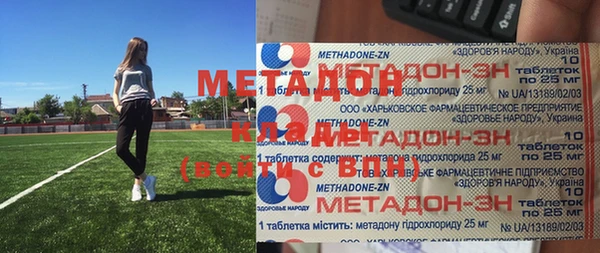 шишки Белая Холуница