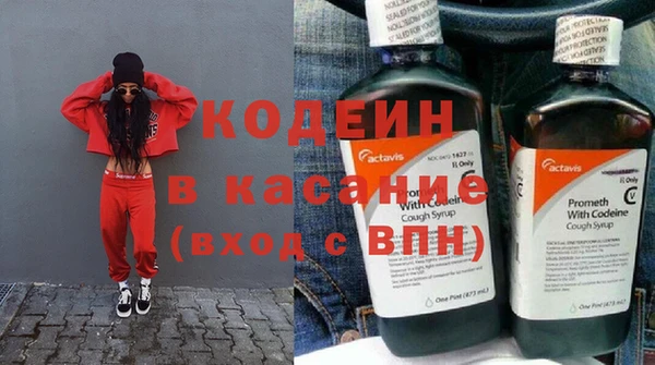 индика Вяземский