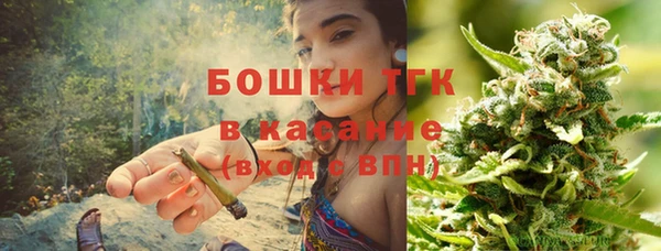 шишки Белая Холуница
