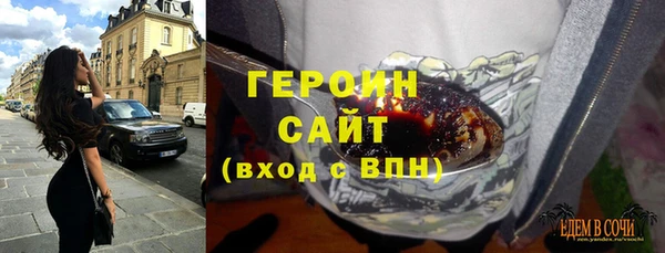 индика Вяземский