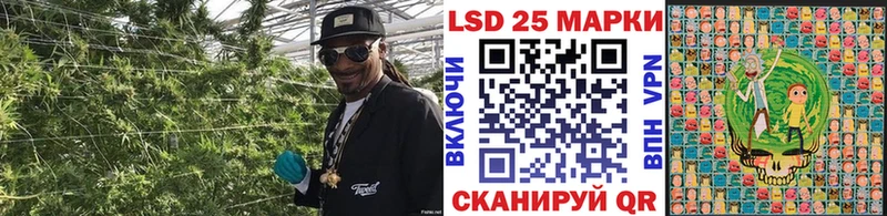Марки NBOMe 1,8мг  Гдов 