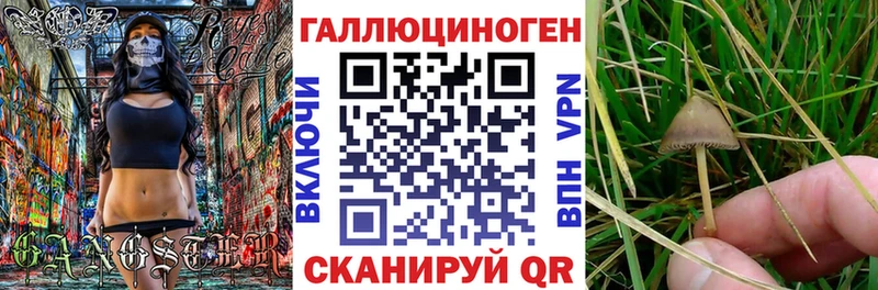 omg вход  купить наркотики сайты  Гдов  Псилоцибиновые грибы ЛСД 