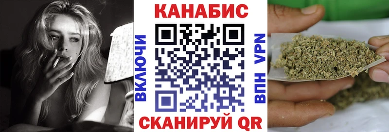 Каннабис план shop телеграм Гдов